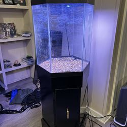 35 Gallon Hexagon Aquarium w Everything for Sale in Bothell WA