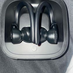 Beats Powerbeats Pro 2 Earbuds