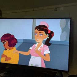 55 Inch Vizio 1080p Smart Tv