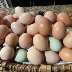 Organic Eggs