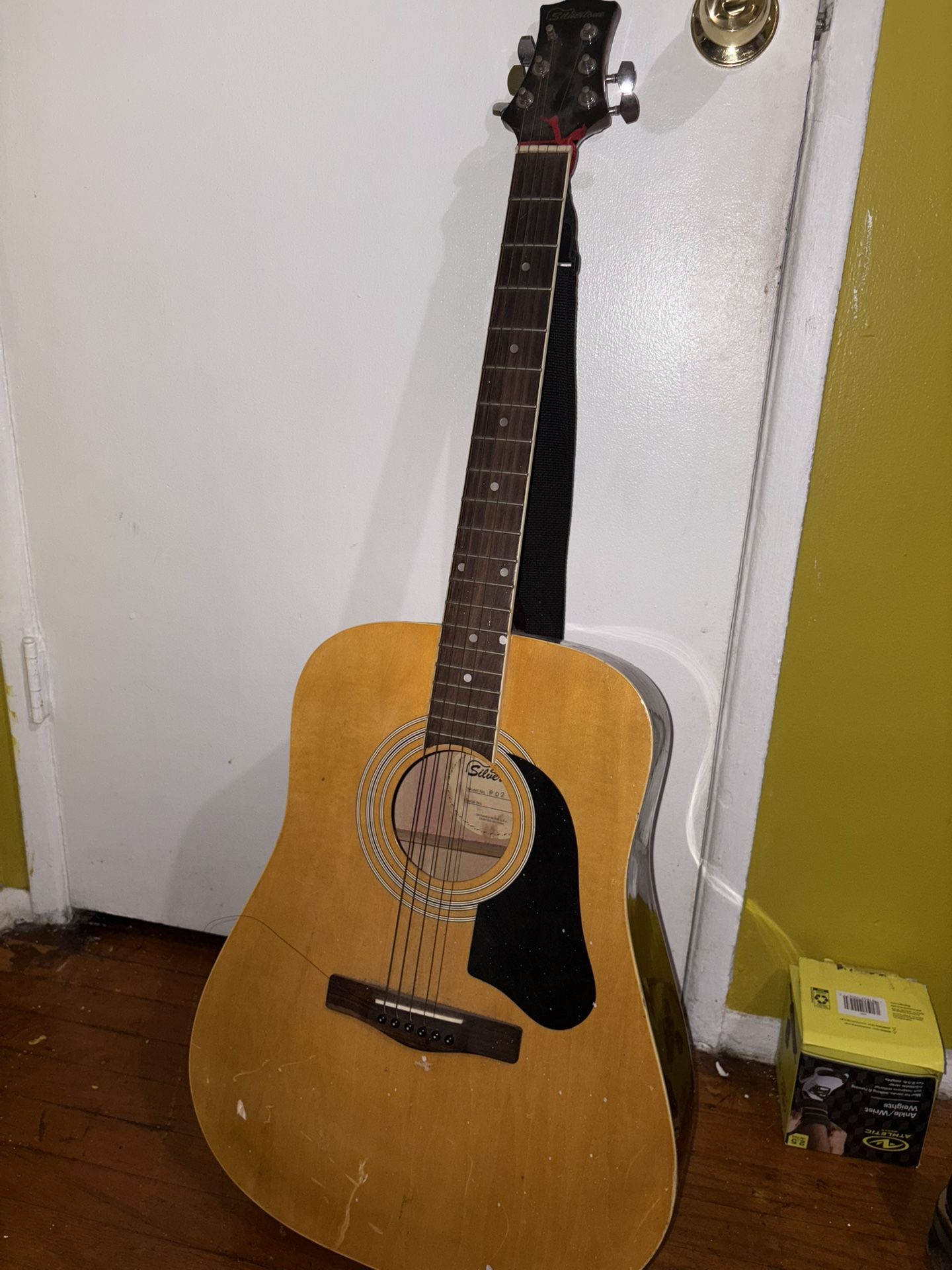 Acoustic guitar