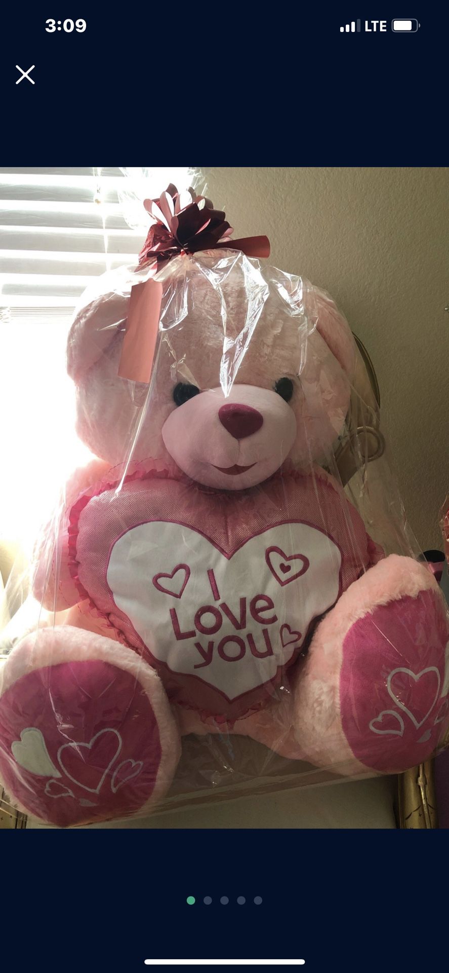 Giant Valentines Day Bears 