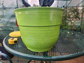 Large Pot