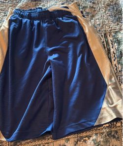 Nike Athletic Shorts Blue and Gold Mens Large