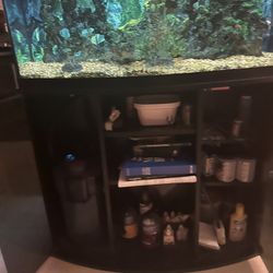 Fish tank