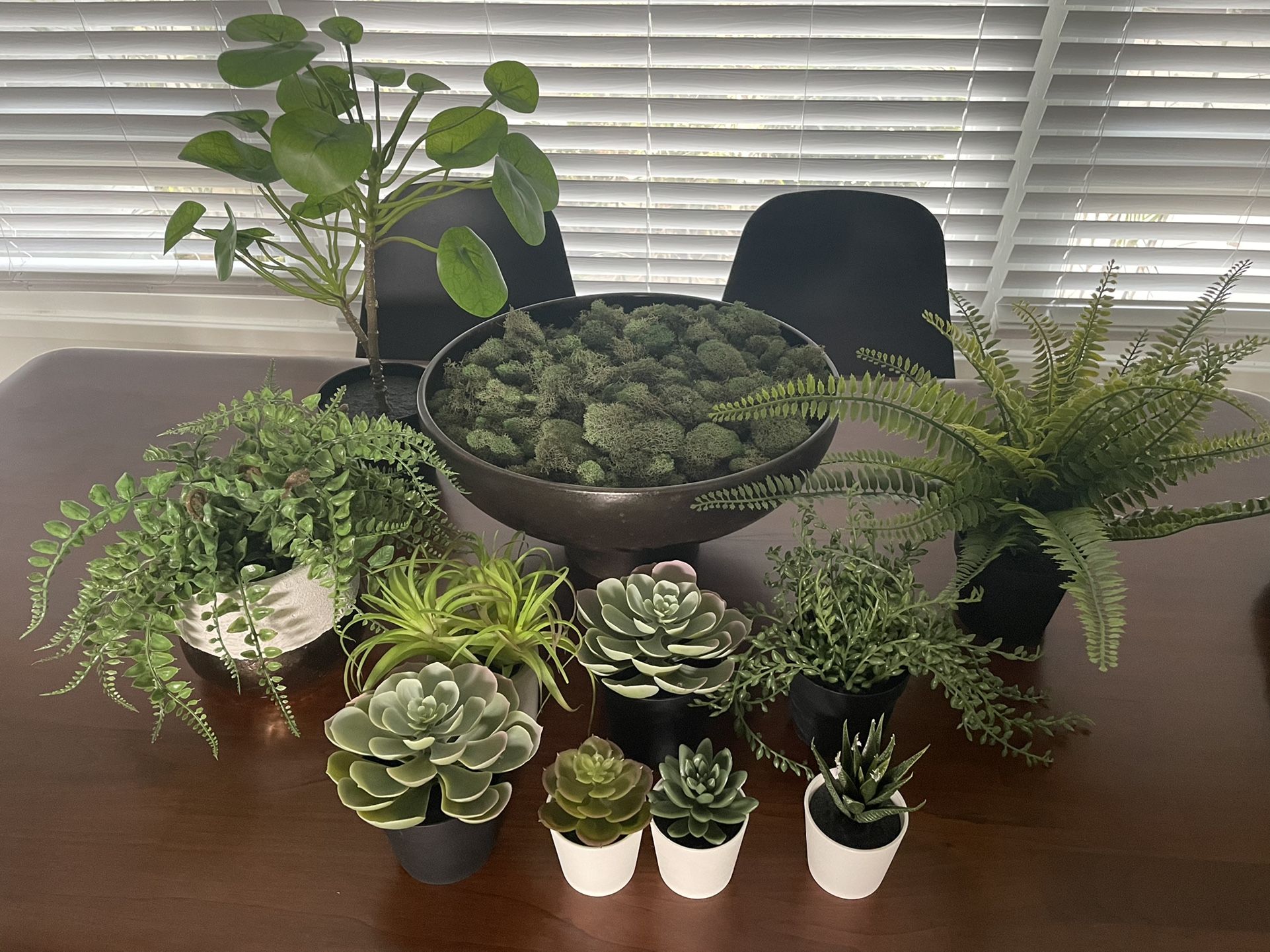 Assortment Of Small Fake Plants 
