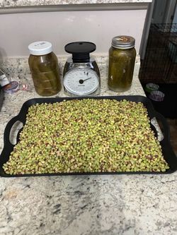 PURPLE HULL PEAS