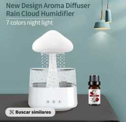 Rain-effect humidifier