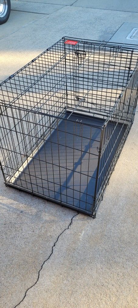 Dog Kennel 