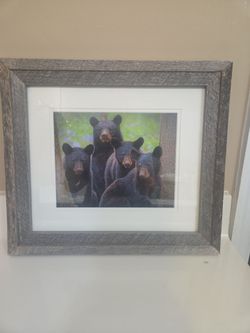 6 assorted bear prints