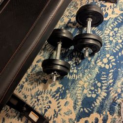 Dumbbells And Workout Bench