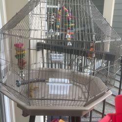 Birds Cage With It’s Accessories