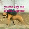 Jorge Nava