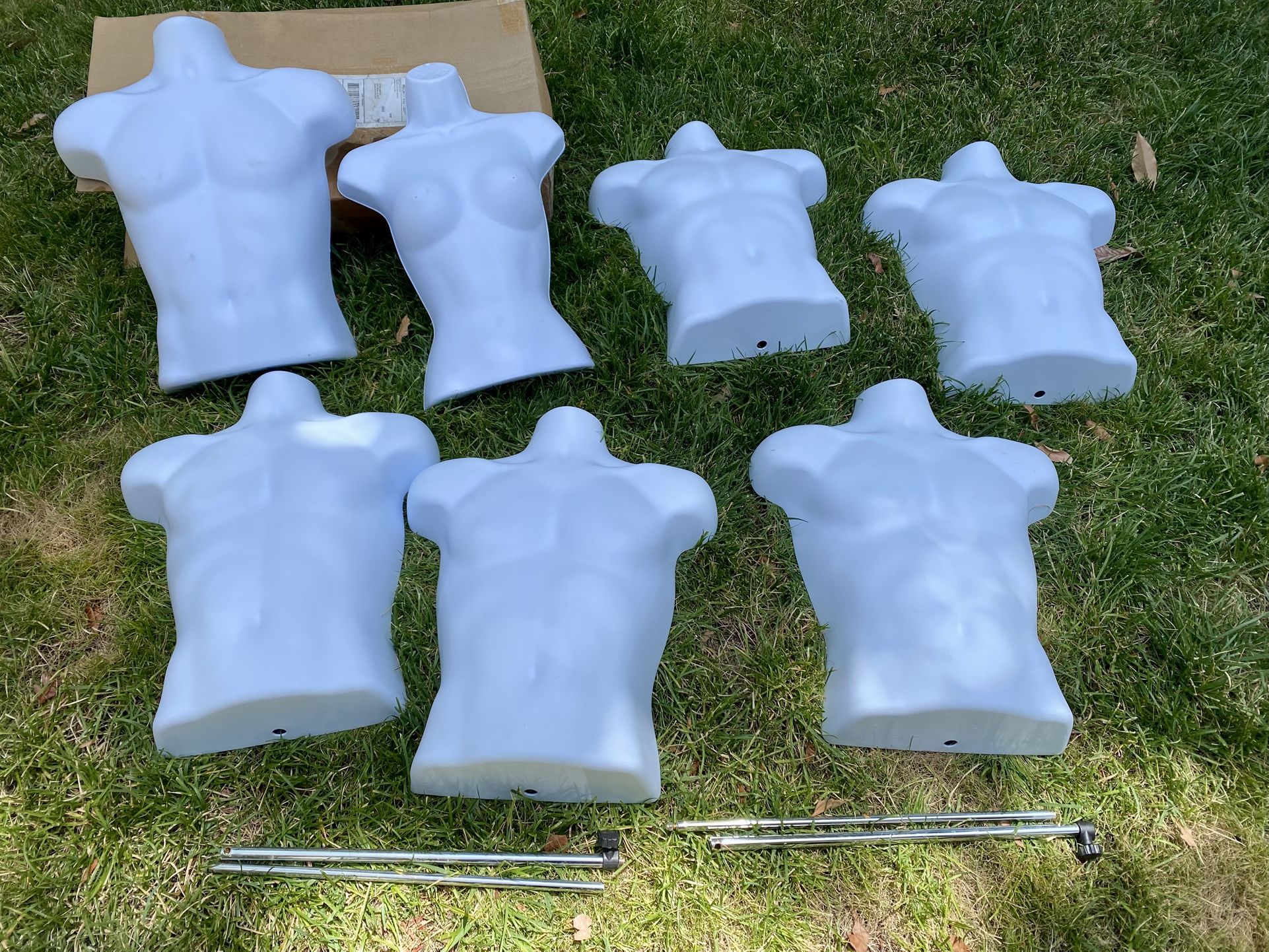 Mannequin Torsos