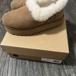 Uggs 