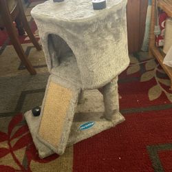 Cat House Price 10$. Pick Up In.  E.  72.  and. Grandview.  E.  Tacoma 