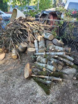 Firewood Logs and Branches Pile
