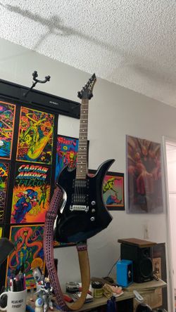 B.c Rich mockingbird