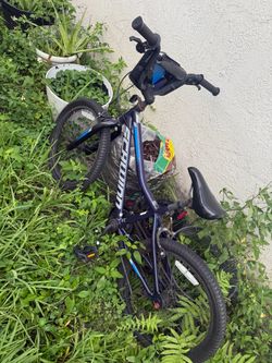 Schwinn Kids Mountain Bike