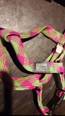 Ceased Milan dog harness