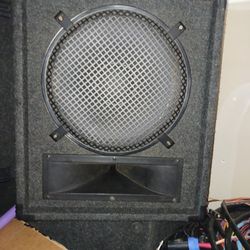 MONITORS/Peavy Blackwirow Stage Customs Monitors 