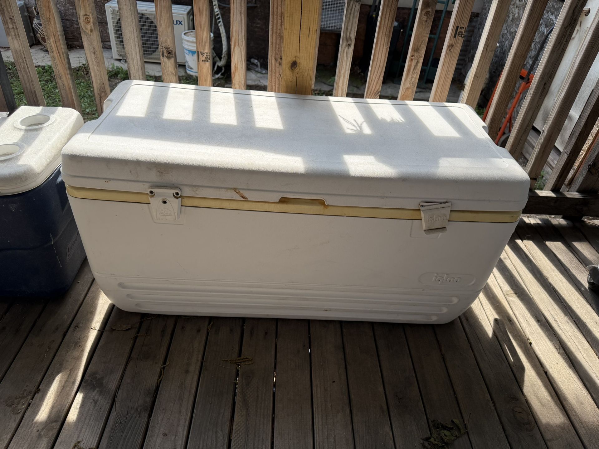 Igloo Big Cooler