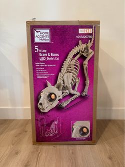 Home Accents Halloween 5 Ft. Long Grave & Bones LED Skelly'S Cat **Brand New**