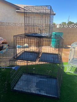 Kennels
