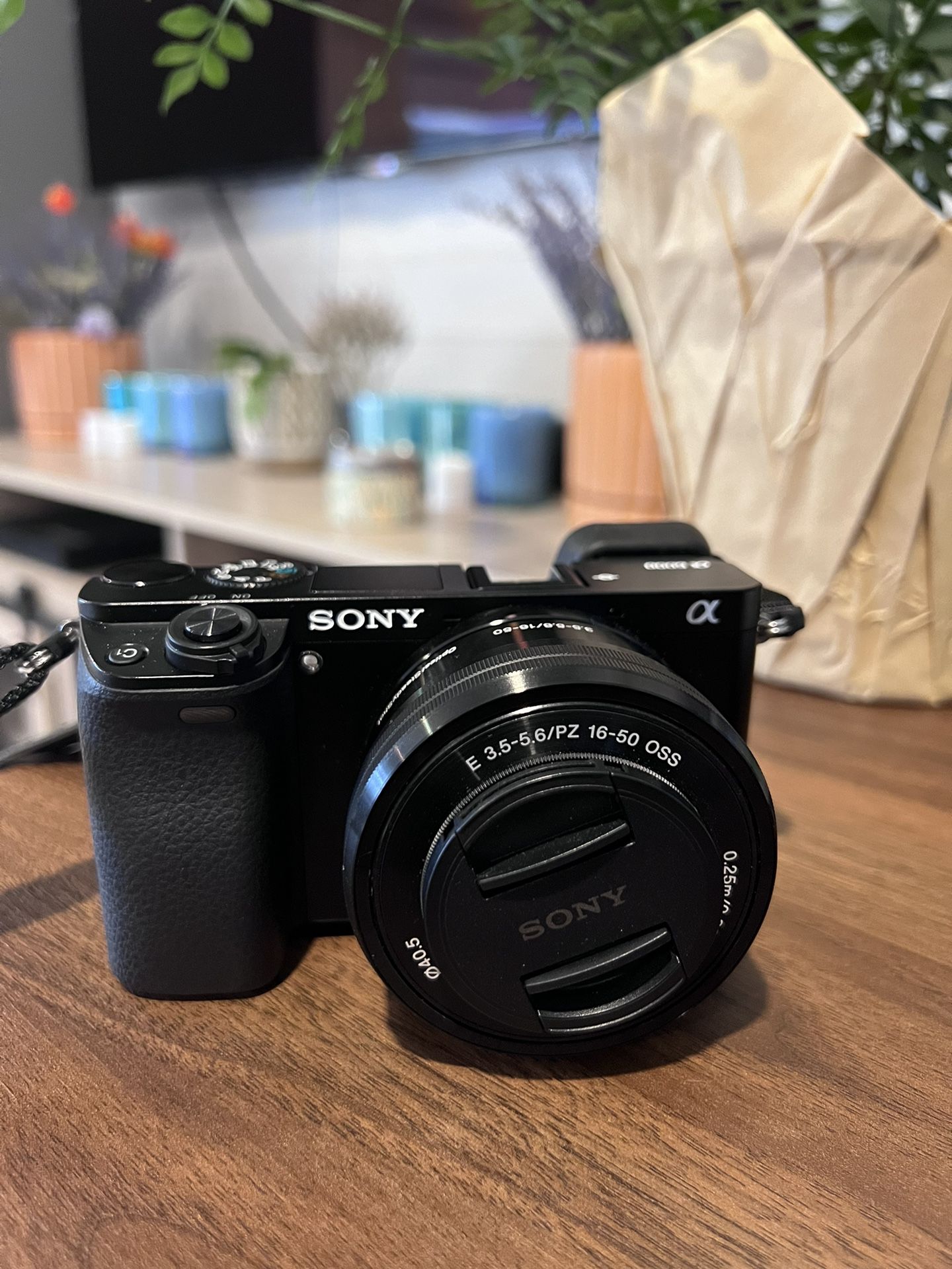 Sony Camera - SEL 55210 + Lens SEL 1650