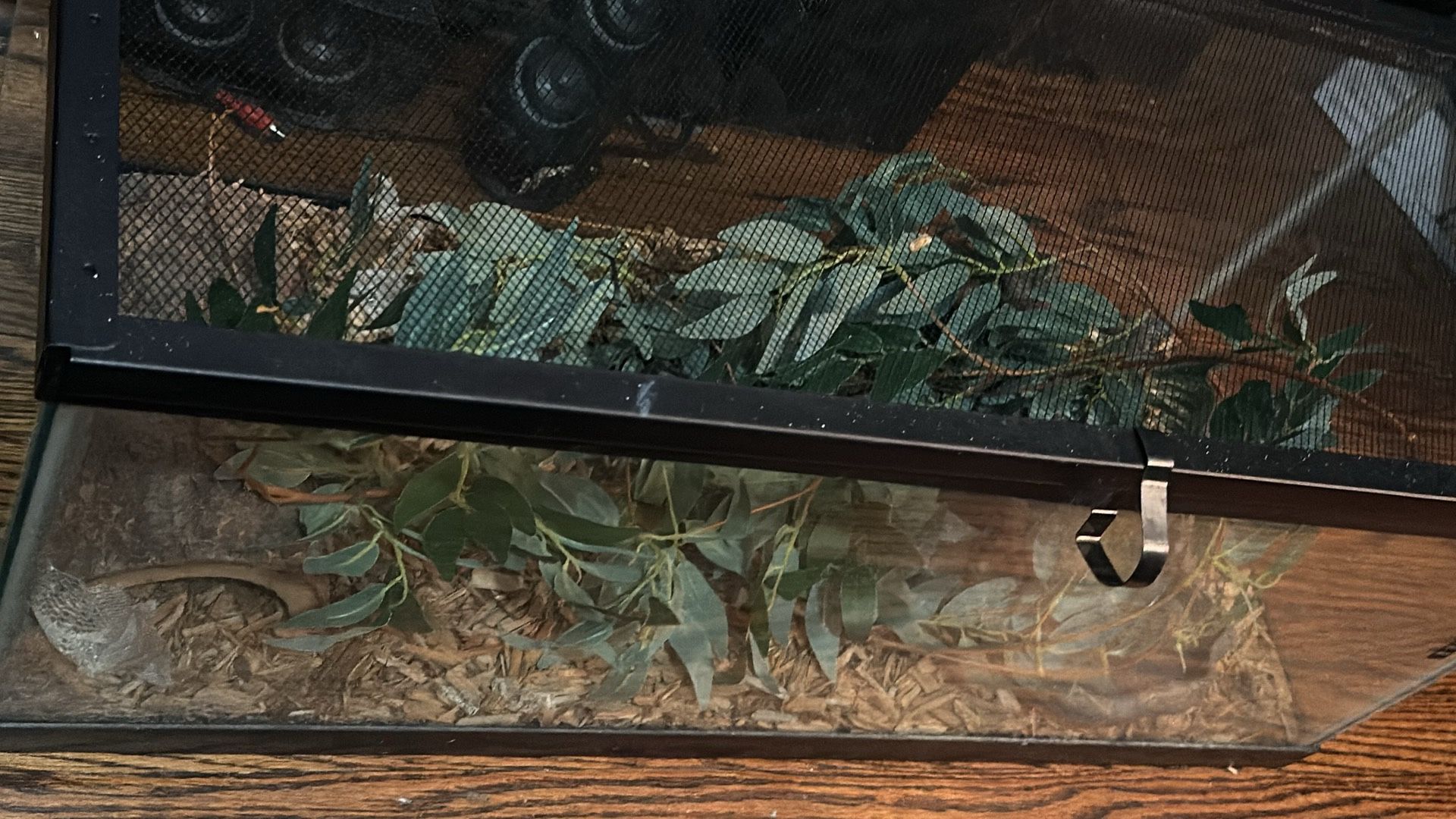 Aquarium/ Reptile Enclosure