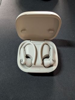 Beats Powerbeats Pro 2 Wireless Earbuds