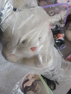 Hundreds Of Beanie Babie Toys Seperate Or All Of It For Low Low Price