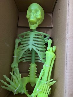 Glow-in-the-Dark Halloween Skeleton Decoration