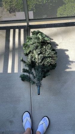 Small Free With Stand Included 