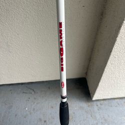 Big Game Fishing Pole