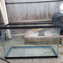 Fish Tank