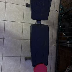 Weight Bench 
