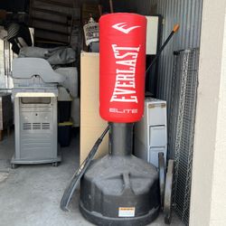 Everlast Freestanding Heavy Bag (Boxing/kicking)