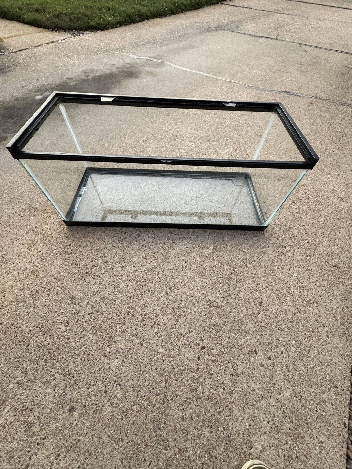 20 Gallon terrarium (Trade Preferably)