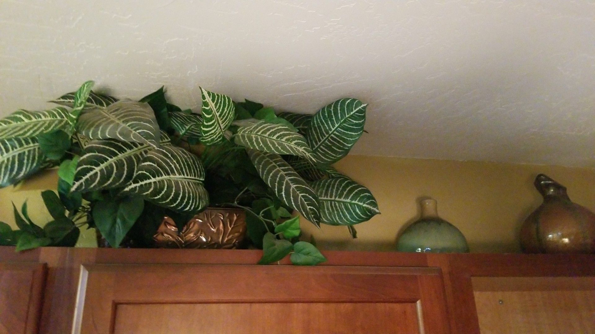 3 Fake Plants and 4 Ceramic Vases..