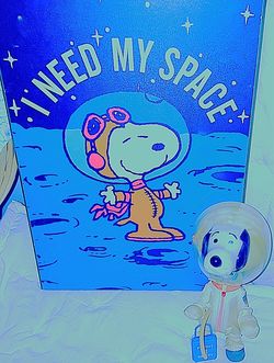 RARE SNOOPY ASTRONAUT COLLECTIBLES