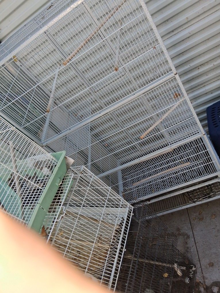 Bird Cage 