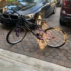 Dynacraft dual suspension bike