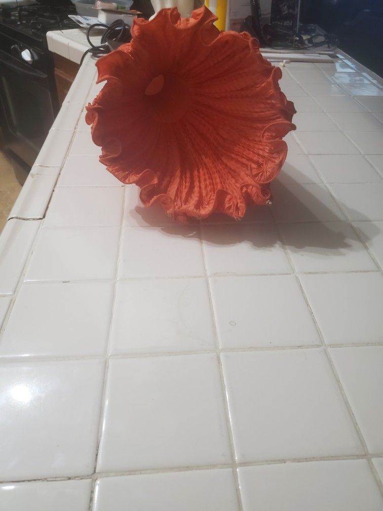 Super Cool 😎 Vintage Tulip Hanging Lamp