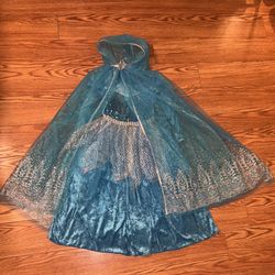 Frozen Themed Costume- Size: 5-6
