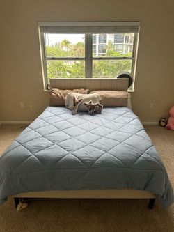 Queen bed frame and mattress