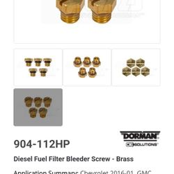 Fuel Filter Bleeder Screw