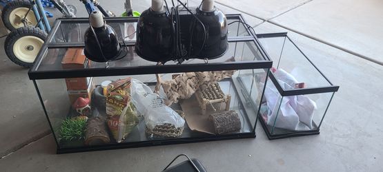Reptile tank and accessories