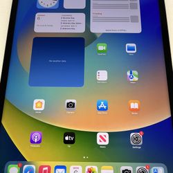 iPad Pro 12.9 5th Generation 512 GB WiFi+cellular Unlocked Great Condition 