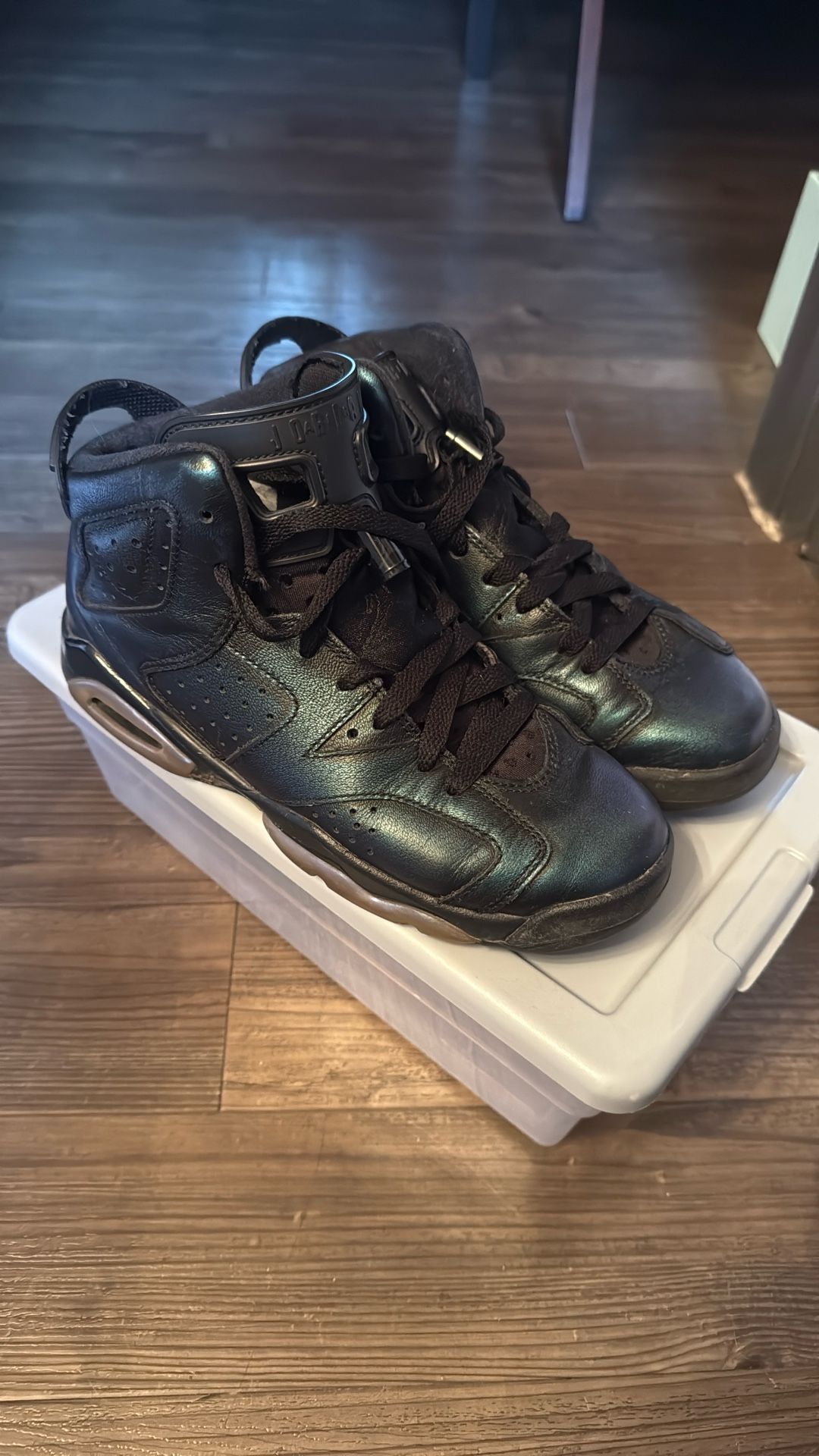 Chameleon Jordans 